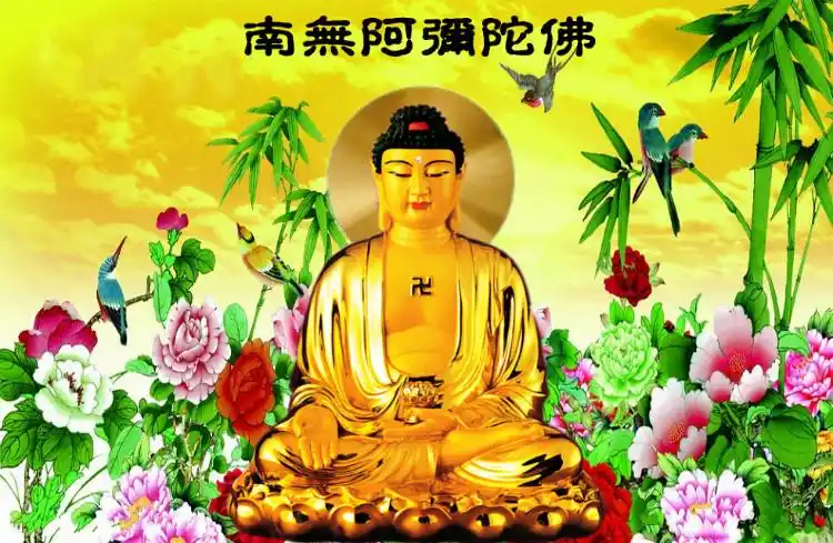 感恩  阿弥陀佛阿弥陀佛赞