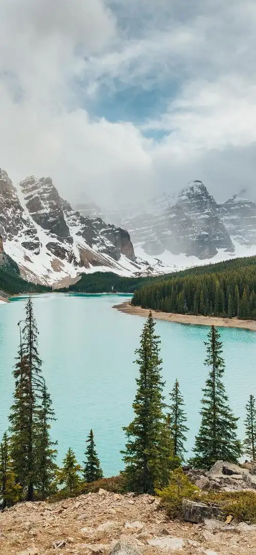 美丽大自然风景8k超清蓝光手机竖屏壁纸