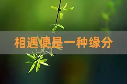 相遇便是一种缘分,愿彼此珍惜缘分的经典话语