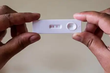 孕检手握孕检.孕检仪照片