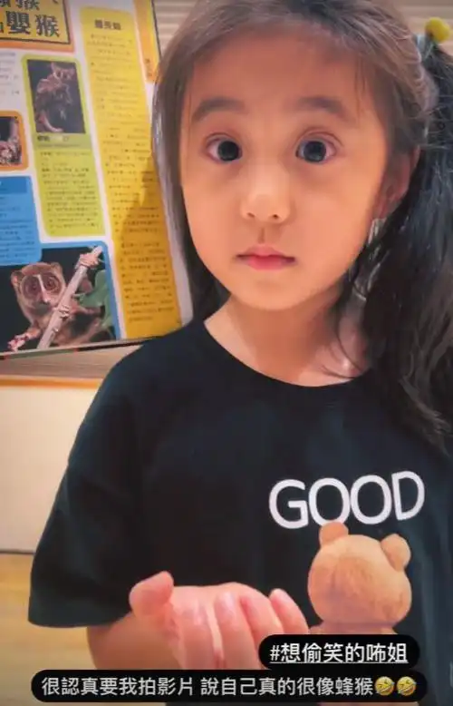 贾静雯久违晒俩女儿咘咘瞪眼搞怪波妞认真拼乐高姐妹性格反转