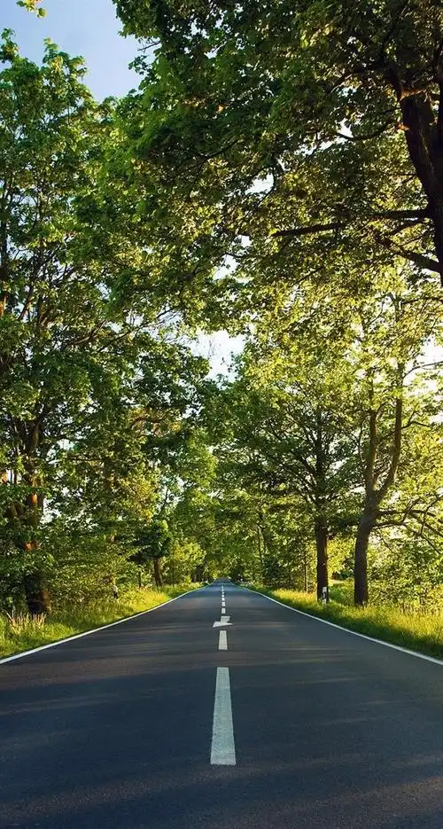 744_1392竖版 竖屏