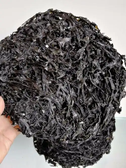 中国干海藻 1千克,汤海藻,紫菜海藻