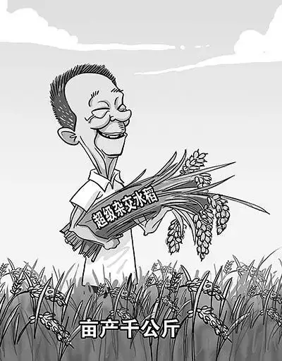 农业部:中国不会大规模进口粮食