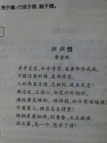 "寻寻觅觅,冷冷清清,凄凄惨惨戚戚."出自哪首词,作者?