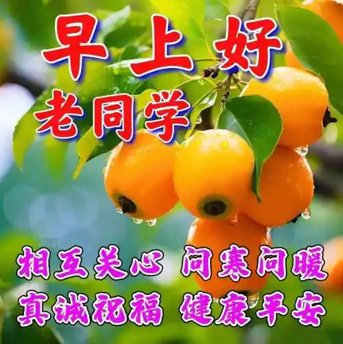 早上好朋友,老同学早上好创意温馨的祝福图片带字早安问候语,关心老