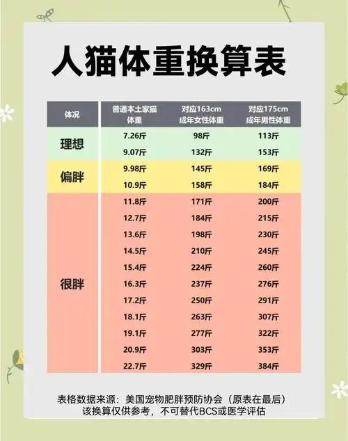 猫咪体重换算:你真的知道你家猫多重吗?