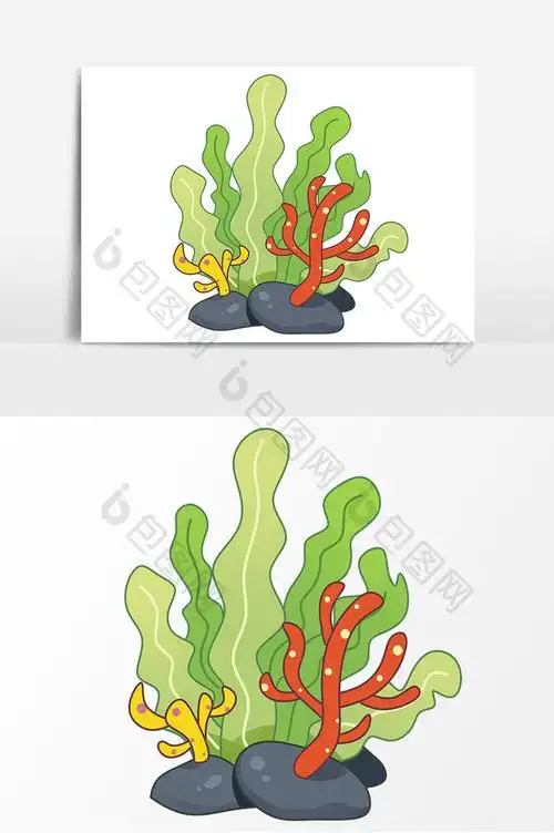 海洋植物简笔画 海洋植物简笔画彩色