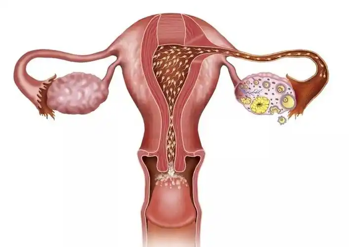 排卵后感冒症状有哪些症状