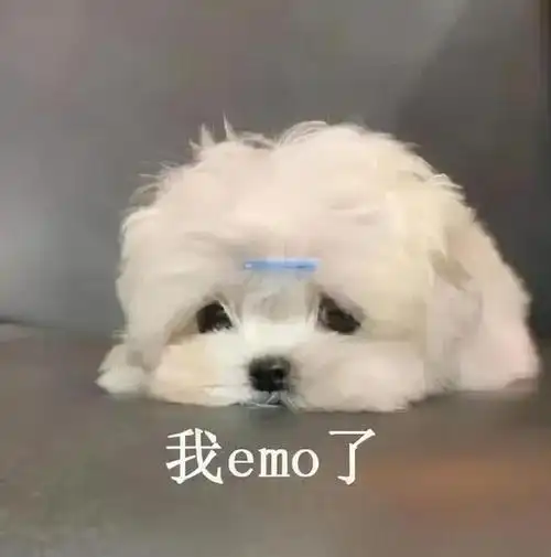 委屈巴巴大冤种表情包,这点痛算什么