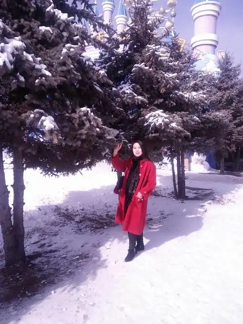 白皑皑的雪,挂在枝头,很是唯美,一个人漫步在唯美的雪景里,很是惬意