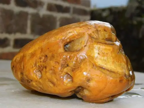 请问这个黄色的石头是黄蜡石吗?它的样子像不像古猿人头?