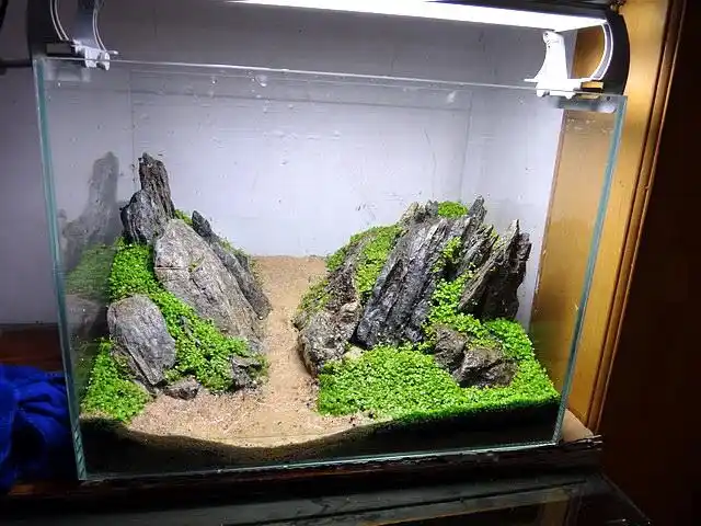 片状的青龙石造景