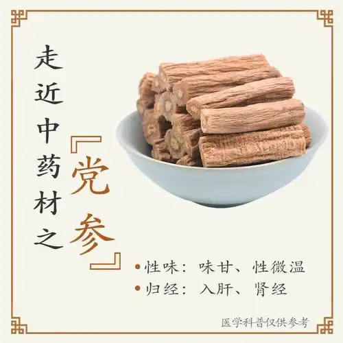 党参补中益气健脾益肺