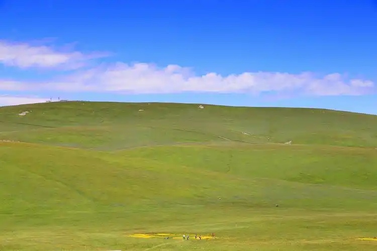 喀拉峻大草原宁静迷人自然风光