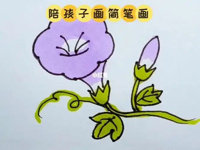 简笔画喇叭花