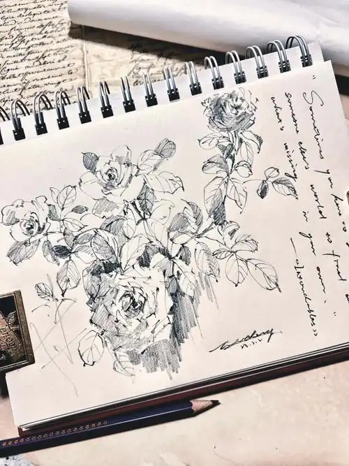 线描#铅笔画#我的速写本#寻找小红书绘画大神#灵魂画手#速写写生#速写