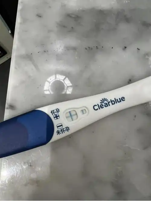 笑不活了,42岁杜星霖怀4胎,72岁张纪中又当爹,网友涌进评论区|验孕棒