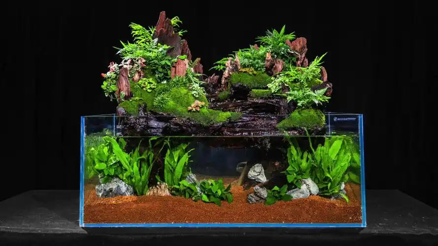 造景—水中花园展示