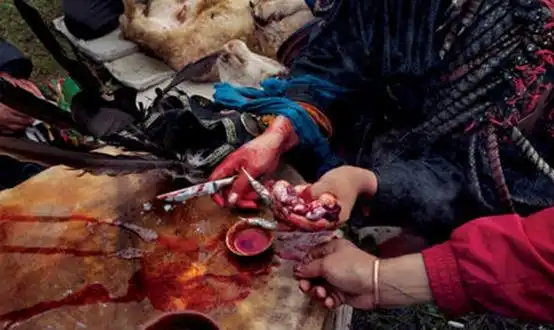 萨满教祭祀供以牲果,娱以歌舞