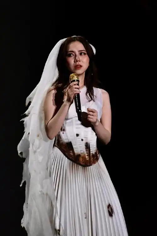 邓紫棋演唱会原图