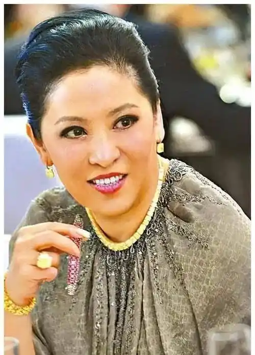 陈岚:手撕小林青霞打醒关之琳,豪掷12亿娶儿媳郭美女_向华强_李连杰