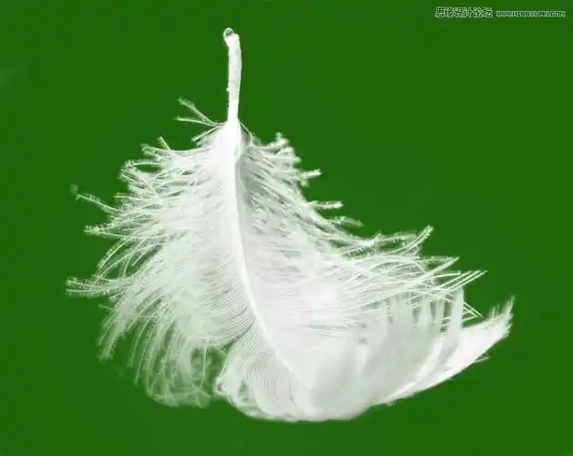 教程中心 photoshop教程 ps抠图教程 这个是原图哈,黑色的背景,但是