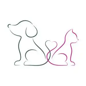 猫和狗矢量图图片-猫和狗矢量图素材-猫和狗矢量图插画-摄图新视界