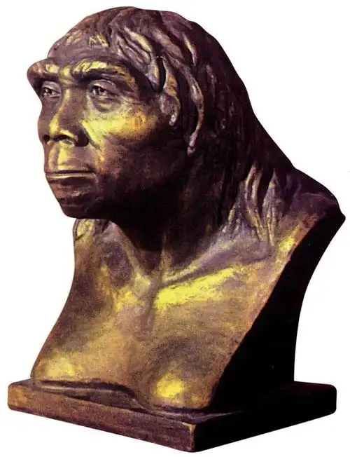 4,距今3万年前的山顶洞人