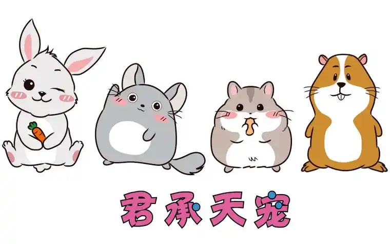 宝林设计 ▏头像设计 ▏漫画人像 ▏水墨人像 ▏照片