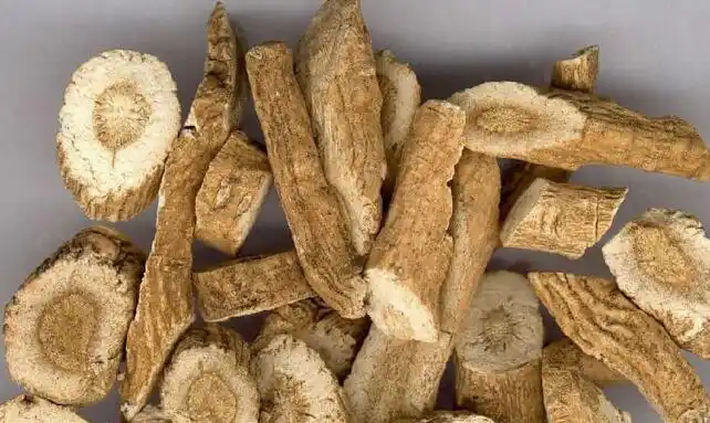 低价多年,板蓝根后市价格行情何时走高?-品种分析-赚钱药材网