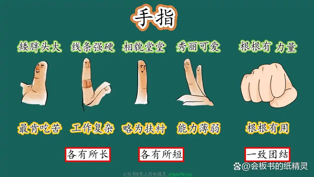 《手指》板书设计