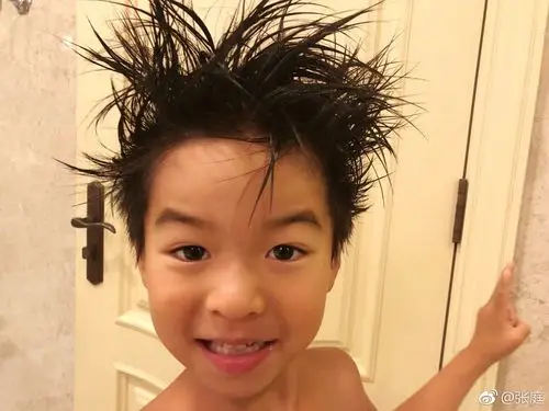 张庭的儿子名叫林秉翰,皮肤也偏黑,虽然长得不算很帅的类型,但长得比