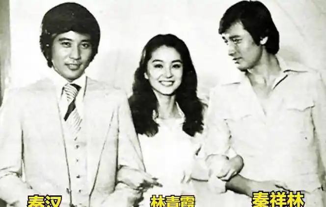 原创邵乔茵千金小姐下嫁秦汉因林青霞加入分手单身数年活成女王