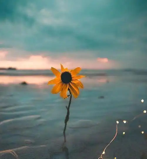 有深度有内涵的心灵鸡汤句句扎心字字醒人