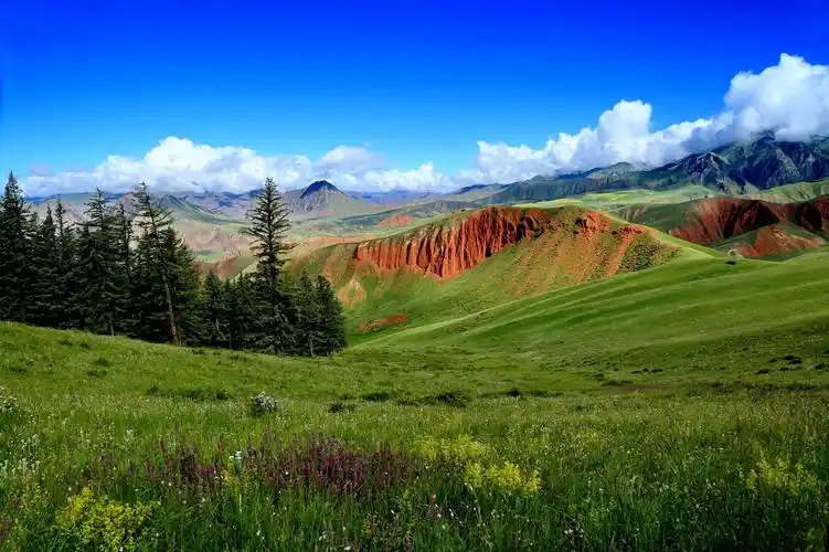 青海祁连卓尔山风光