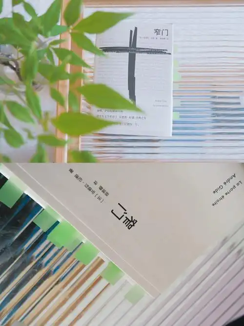 窄门现在能有多少人能接受柏拉图式恋爱