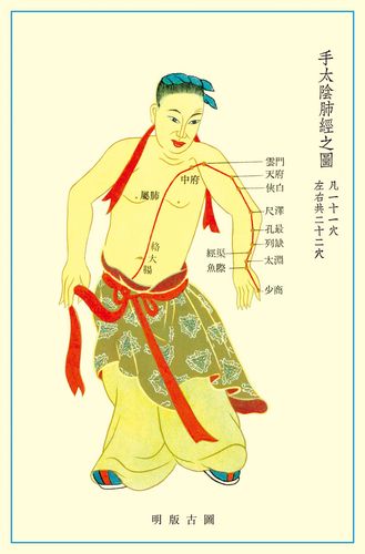 569海报印制海报展板素材240手太阴肺经穴位图 非高清图