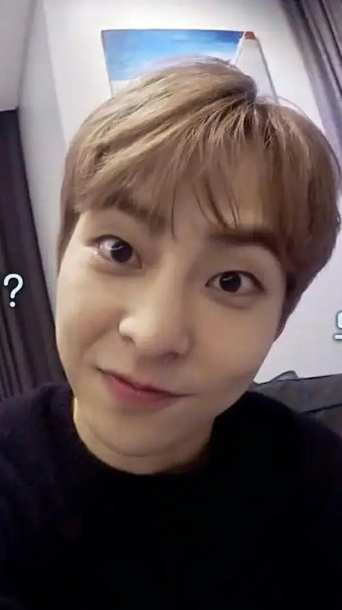 自拍系列——金珉锡xiumin篇-南风的exo美图铺子-话本小说网