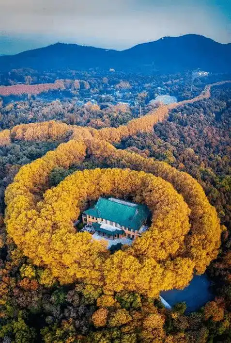 南京紫金山,五彩斑斓在秋天尽情绽放,每一眼都是惊艳