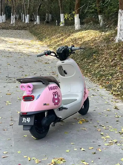 新国标电动自行车 年少轻狂不是坏事,碌碌无为不用自责 - 抖音