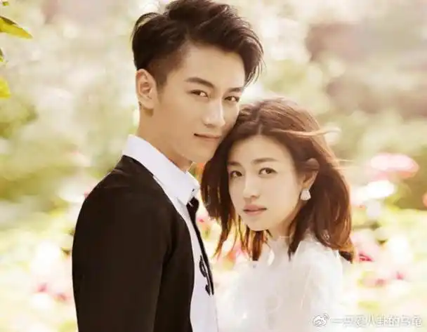 陈晓赵丽颖因戏生情?分手原因揭晓!|赵丽颖|陈晓|刘大锤_新浪新闻