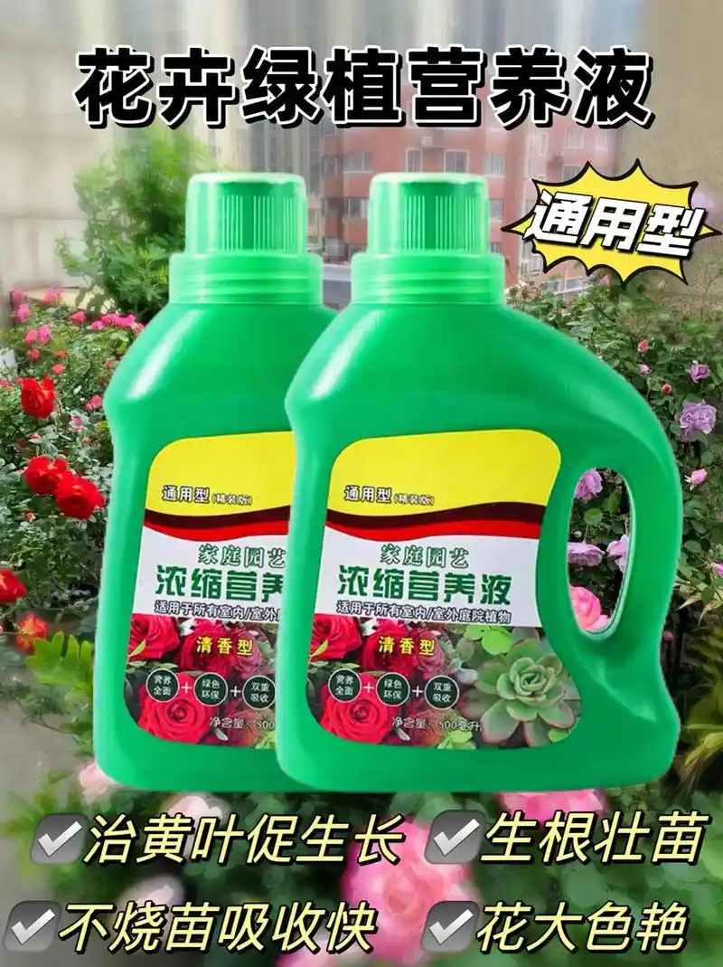 养花人必备的营养花肥.