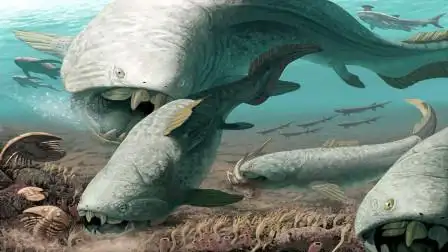 《史前巨兽》泥盆纪海洋中的恐怖海怪"邓氏鱼"的故事!