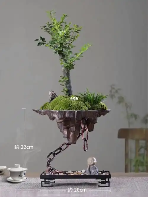 印度小叶紫檀  #我爱绿植  #花卉绿植  #小叶紫檀盆景