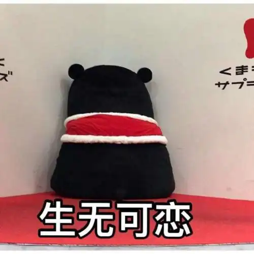 熊本熊 表情包