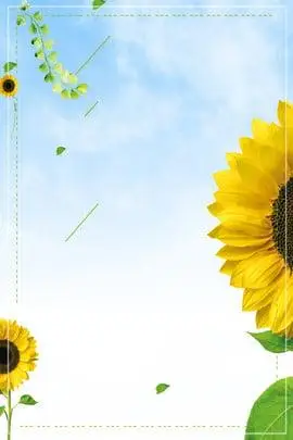 底纹 蝴蝶 粉色 文艺 清新, 清新教师节主题海报, 教师节, 简约背景