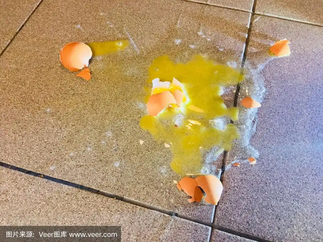 碎鸡蛋掉在地上