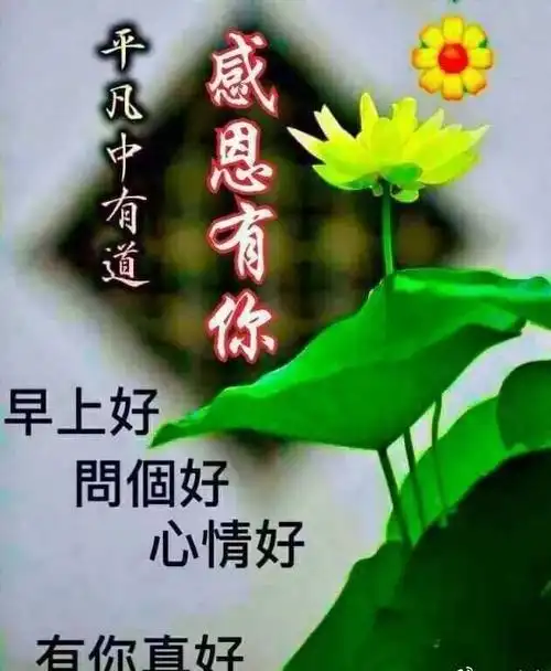 早上好图片祝福语早晨好问候语表情包