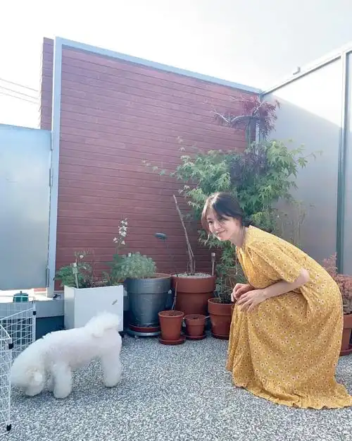 42岁宋慧乔私服穿搭也太美了!